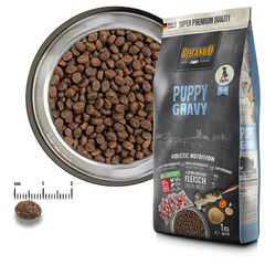 Belcando Puppy Gravy 12.5 kg - Kutsikatele kuni 4 kuud ja väikeste tõugude noortele koertele kuni aasta vanuseni