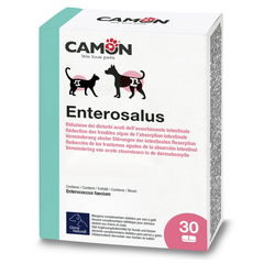 CAMON Enterosalus tabletid - seedetrakti ja kõhulahtisuse probleemidele (30 tabletti).