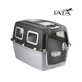 GULLIVER 7 IATA  Plus транспортировочный бокс