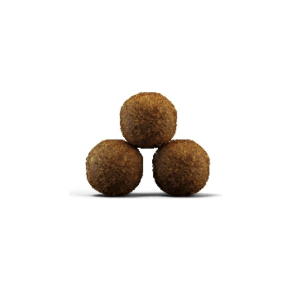 Josera Petfood Josera SP kassidele Kitten grainfree 2 kg, 3 image